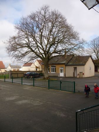 P1040523.jpg, mar. 2013 P1040523.jpg